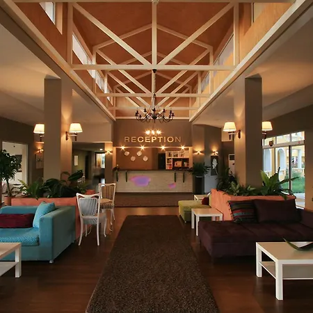 Blue Orange ソゾポル